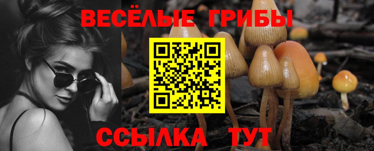 Псилоцибиновые грибы GOLDEN TEACHER Пыть-Ях